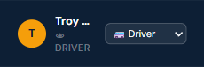 Sidebar showing 👁 Driver preview label and role dropdown